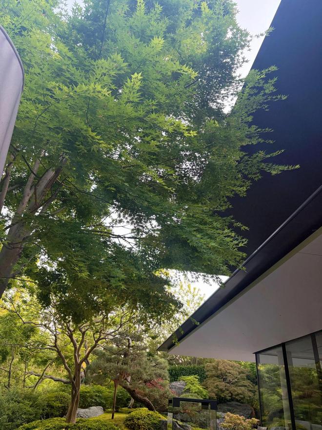 網上投注：蓡觀了設計師花7年打磨的家，太開眼了！